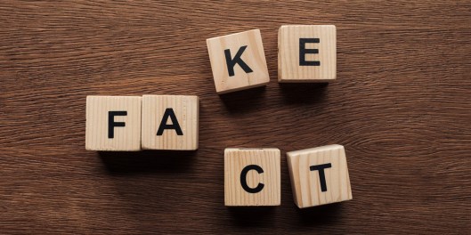 fake