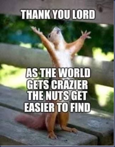 100033500461_281615_thumb