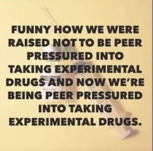 14-2021-09-05-16.23.44-650x646