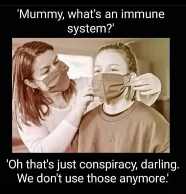 10-240347594_202827945163117_8359987847355607233_n