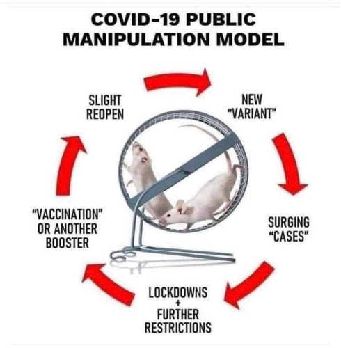 covid-19-manipulation-model-variant-vaccination-lockdowns-cases-slight-reopen