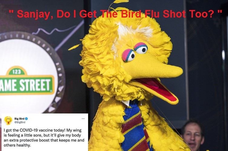 big bird