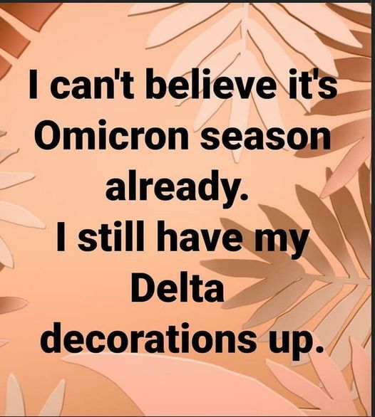 03-photo_299@10-12-2021_13-21-26