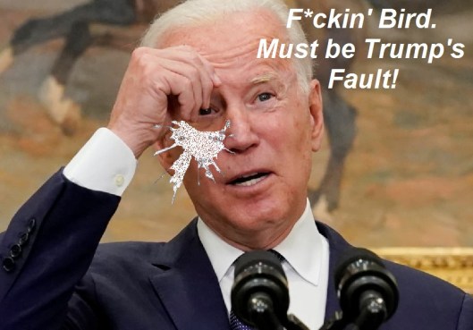biden bird