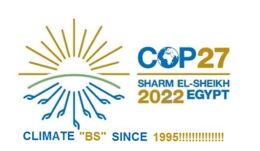 cop27