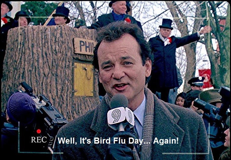 bird flu day