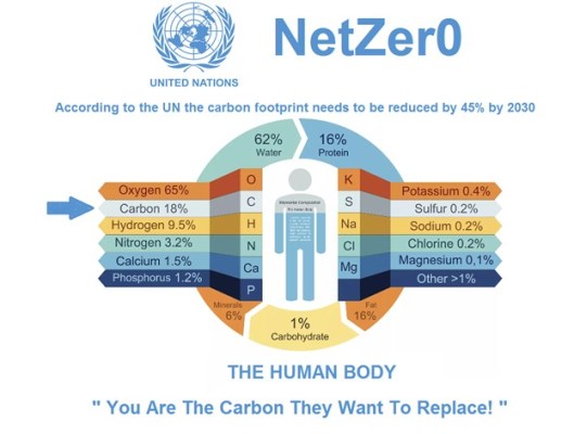 Net Zero