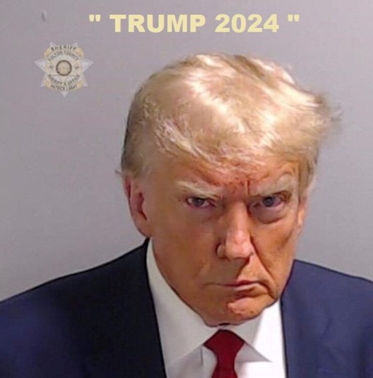 trump mugshot.jpeg