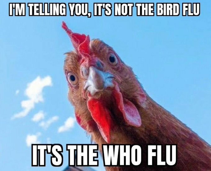 who flu