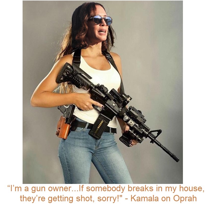 kamala gun