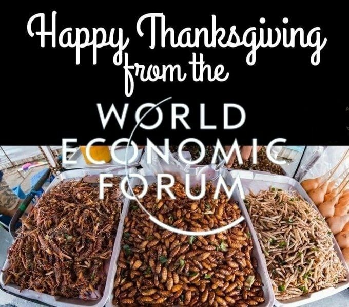 wef thanksgiving