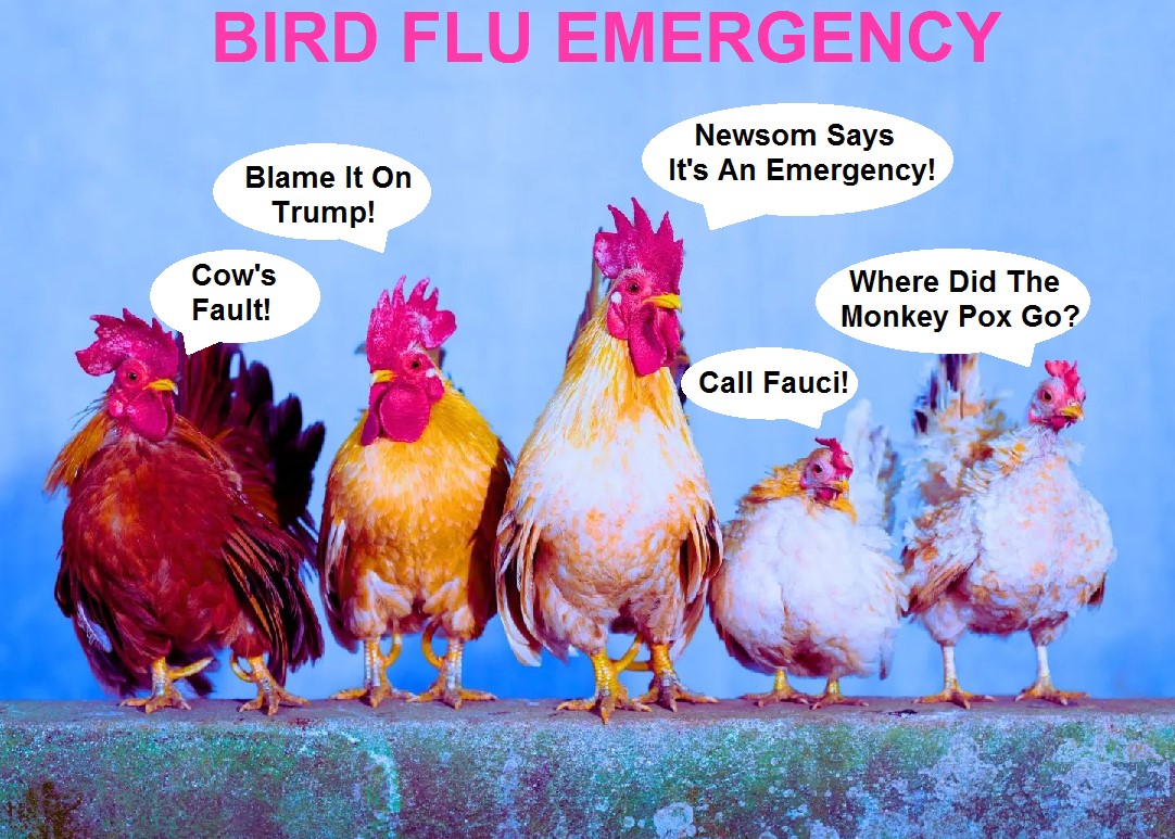 bird flu e