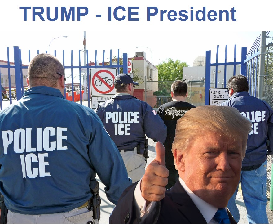 ice president