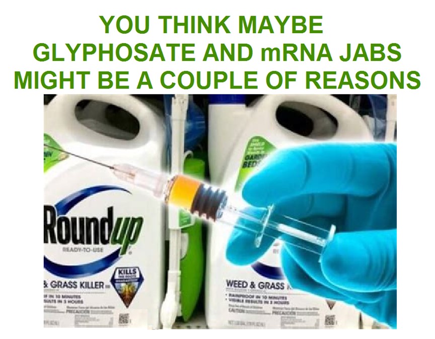 GLYPHOSATE AND JAB